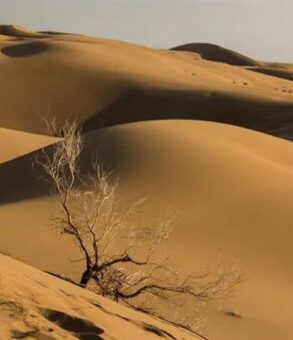 Maranjab Desert tour