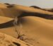 Maranjab Desert tour