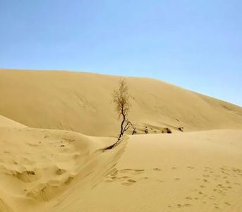 کویر مرنجاب 1 Maranjab Desert Iran