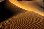 Maranjab Desert tour