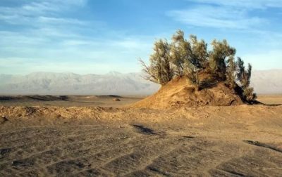 nebka, The Desert Flowerpots of Shahdad