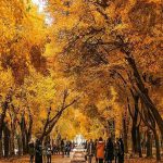 چهارباغ عباسی