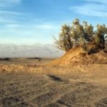گلدان های کویری شهداد یا نبکاهای شهداد