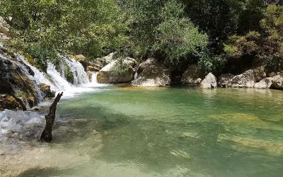 ابشار مارگون کجاست