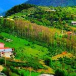 جاذبه های گردشگری رامسر