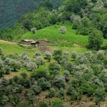 سفر دو روزه به شمال از تهران کجا بریم