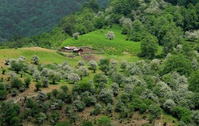 سفر دو روزه به شمال از تهران کجا بریم