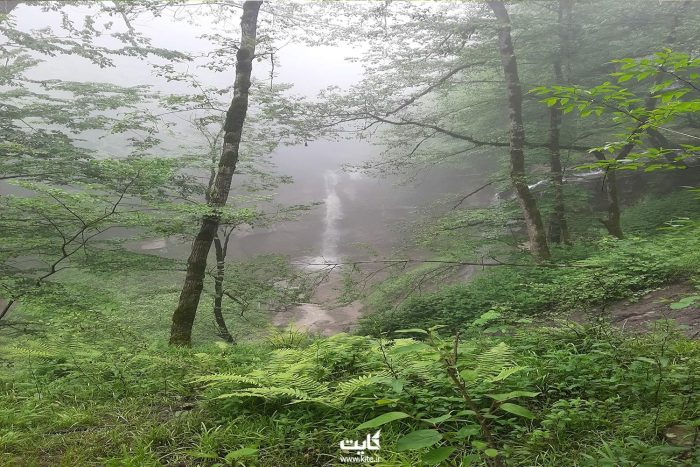 ابشار جلسنگ لفور کجاست تور آبشار جلسنگ لفور (مازندران، یکروزه)