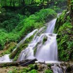 تور آبشار گزو لفور یکروزه