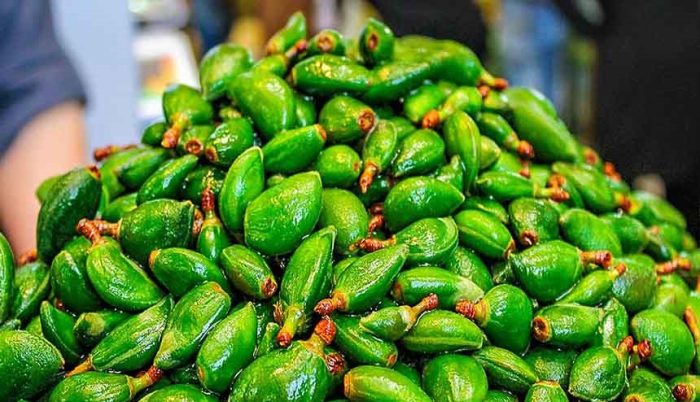 بازار تجریش 8 تور کاخ سعدآباد،موزه فرش،بازار تجریش و غیره
