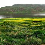 تور آفرود سوباتان
