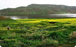 تور آفرود سوباتان