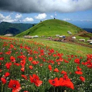 دشت شقایق سوباتان راهنمای جامع سفر به گیلان