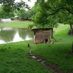 راهنمای جامع سفر به گیلان