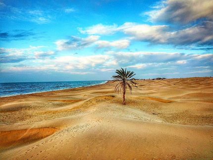 تور غرب چابهار