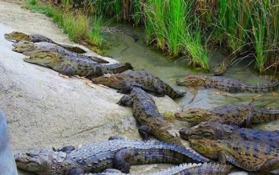 گشت مسیر کنارک و پزم تیاب